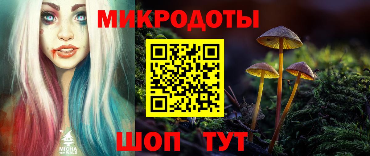 Каспийск  Галлюциногенные грибы Magic Shrooms  Галлюциногенные грибы Psilocybine cubensis  Вход с VPN 